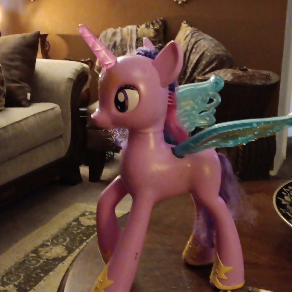 Princess Twilight Sparkle